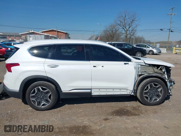 2022 Hyundai Santa Fe Limited with VIN 5NMS44ALXNH411409, listed as a IAAI auction lot 41889017 with 50,676 mi miles. Bid and sale history available at carsss.com. Image 14.