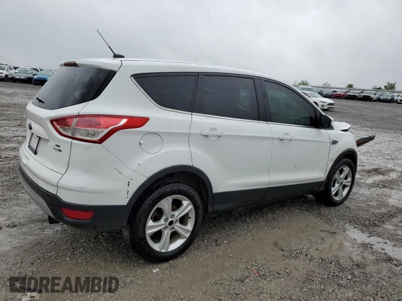 2013 Ford Escape SE with VIN 1FMCU9GX7DUA24721, listed as a Copart auction lot 54543385 with 203,036 mi miles and Salvage title. Bid and sale history available at DreamBid. Image 3.