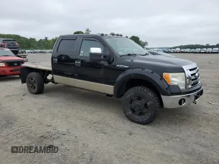 2009 Ford F-150 XL with VIN 1FTPW14V79FB03645, listed as a Copart auction lot 60231315 with Not provided miles and Clean title. Bid and sale history available at DreamBid. Image 4.