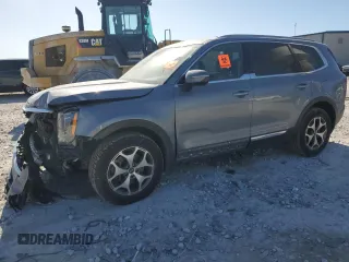 2020 Kia Telluride EX with VIN 5XYP3DHC6LG008873, listed as a Copart auction lot 55954915 with 172,937 mi miles and Non repairable. Bid and sale history available at DreamBid. Image 1.