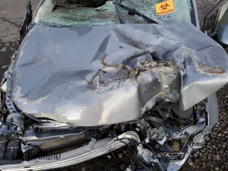 2021 Toyota Corolla L with VIN JTDDPMAE6MJ161855, listed as a Copart auction lot 84372534 with 39,286 mi miles and Salvage Title. Bid and sale history available at DreamBid. Image 11.