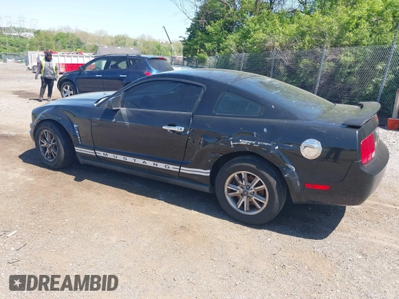 2005 Ford Mustang Deluxe with VIN 1ZVFT80N255111782, listed as a IAAI auction lot 42145903 with 243,853 mi miles. Bid and sale history available at carsss.com. Image 3.