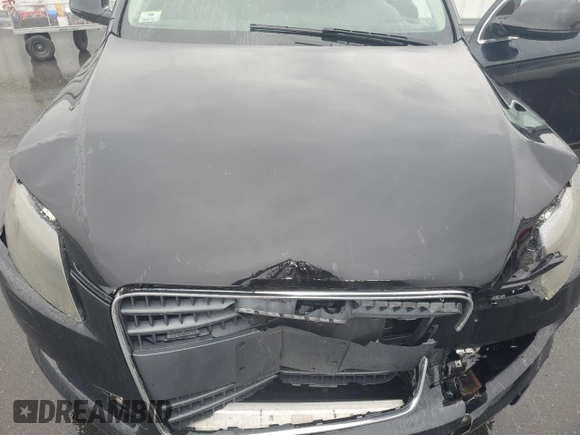 2009 Audi Q7 with VIN WA1AY74L39D018017, listed as a Copart auction lot 51381695 with 143,412 mi miles and Clean Title. Bid and sale history available at carsss.com. Image 13.