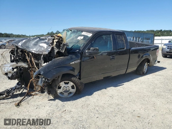 2013 Ford F-150 XL с VIN 1FTEX1CM2DFB77058, выставлен на аукционе Copart как лот 61099805 с пробегом Не указан миль и На запчасти • Non repairable. История ставок и продаж доступна на DreamBid. Изображение 1.