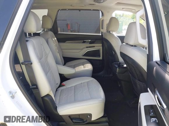 2020 Kia Telluride SX with VIN 5XYP5DHC4LG067625, listed as a IAAI auction lot 42302019 with 134,266 mi miles and . Bid and sale history available at DreamBid. Image 8.