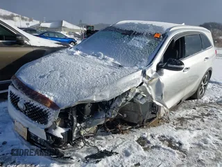 2016 Kia Sorento EX z VIN 5XYPHDA17GG020319, wystawiony jako IAAI lot #41581398 z przebiegiem 149 257 mil mil oraz . Historia ofert i sprzedaży dostępna na DreamBid. Obrazek 21.