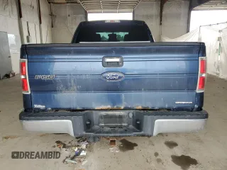 2013 Ford F-150 XL with VIN 1FTFX1EF0DFD99679, listed as a Copart auction lot 57461065 with 216,138 mi miles and Salvage title. Bid and sale history available at DreamBid. Image 6.