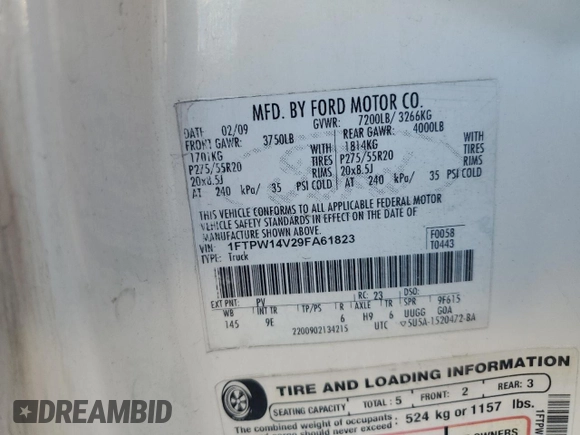 2009 Ford F-150 XL with VIN 1FTPW14V29FA61823, listed as a Copart auction lot 73438054 with 242,529 mi miles and Clean title. Bid and sale history available at DreamBid. Image 12.