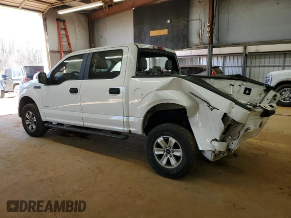 2015 Ford F-150 XLT with VIN 1FTEW1EP8FFB89356, listed as a Copart auction lot 41857725 with 187,576 mi miles and Salvage Title. Bid and sale history available at carsss.com. Image 2.
