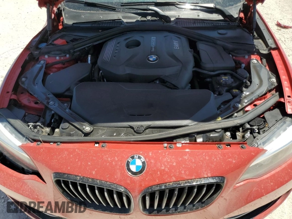 2017 BMW 2 Series 230i with VIN WBA2K9C52HV647199, listed as a Copart auction lot 61074605 with 53,876 mi miles and Salvage title. Bid and sale history available at DreamBid. Image 11.