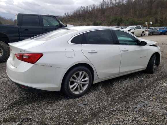 2017 Chevrolet Malibu LT with VIN 1G1ZE5ST4HF205156, listed as a Copart auction lot 49276465 with 0 mi miles and Salvage Title. Bid and sale history available at carsss.com. Image 3.