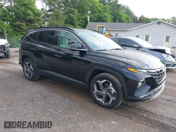 2024 Hyundai Tucson Limited with VIN 5NMJECDE8RH407378, listed as a IAAI auction lot 42457571 with 37,755 mi miles and . Bid and sale history available at DreamBid. Image 1.
