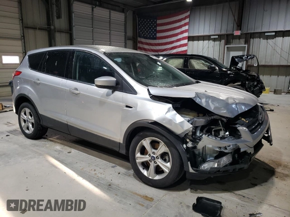 2013 Ford Escape SE with VIN 1FMCU9G98DUA13874, listed as a Copart auction lot 49039595 with 169,686 mi miles and Salvage Title. Bid and sale history available at DreamBid. Image 4.