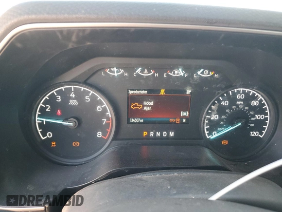 2021 Ford F-150 XL with VIN 1FTMF1C57MKE89519, listed as a Copart auction lot 49420105 with 134,507 mi miles and Salvage title. Bid and sale history available at DreamBid. Image 9.