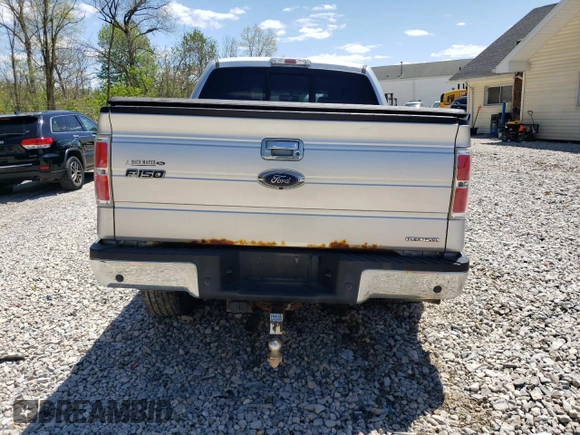2013 Ford F-150 XL with VIN 1FTFW1EF5DFC77791, listed as a Copart auction lot 56161675 with 115,820 mi miles and Salvage Title. Bid and sale history available at DreamBid. Image 6.