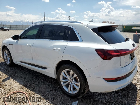 2019 Audi e-tron Prestige with VIN WA1VABGE8KB022801, listed as a Copart auction lot 52213123 with 28,988 mi miles. Bid and sale history available at carsss.com. Image 2.