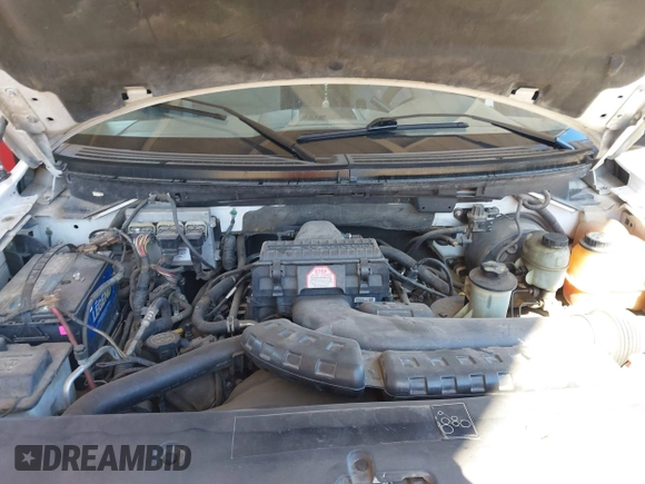 2004 Ford F-150 XL with VIN 1FTPF12554NC66344, listed as a IAAI auction lot 41872399 with 223,860 mi miles and . Bid and sale history available at DreamBid. Image 10.
