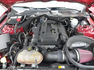 2017 Ford Mustang EcoBoost с VIN 1FA6P8TH2H5322097, выставлен на аукционе IAAI как лот 42132961 с пробегом 75 758 миль миль и . История ставок и продаж доступна на DreamBid. Изображение 10.