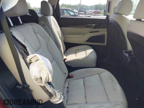2023 Kia Telluride SX X-Pro with VIN 5XYP5DGC8PG376862, listed as a IAAI auction lot 42481710 with 17,517 mi miles and . Bid and sale history available at DreamBid. Image 8.