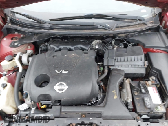 2010 Nissan Maxima 3.5 SV with VIN 1N4AA5AP0AC832972, listed as a IAAI auction lot 41925816 with Not Provided miles. Bid and sale history available at carsss.com. Image 10.