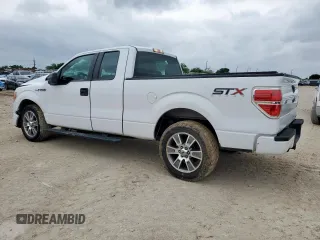 2014 Ford F-150 XL with VIN 1FTFX1CF0EKF20982, listed as a Copart auction lot 54354955 with 137,093 mi miles and Salvage Title. Bid and sale history available at DreamBid. Image 2.
