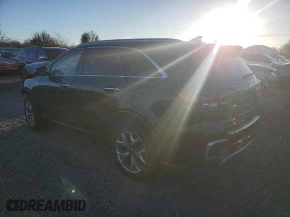 2019 Kia Sorento SX V6 with VIN 5XYPKDA50KG509884, listed as a Copart auction lot 80988934 with 0 mi miles and Salvage Title. Bid and sale history available at carsss.com. Image 2.