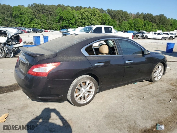 2010 Nissan Maxima 3.5 SV with VIN 1N4AA5APXAC863193, listed as a Copart auction lot 53154655 with 285,696 mi miles and Clean Title. Bid and sale history available at carsss.com. Image 3.
