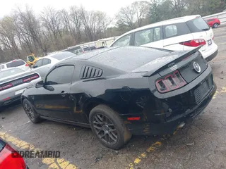 2013 Ford Mustang V6 with VIN 1ZVBP8AM9D5253490, listed as a IAAI auction lot 41856886 with 236,348 mi miles and . Bid and sale history available at DreamBid. Image 14.