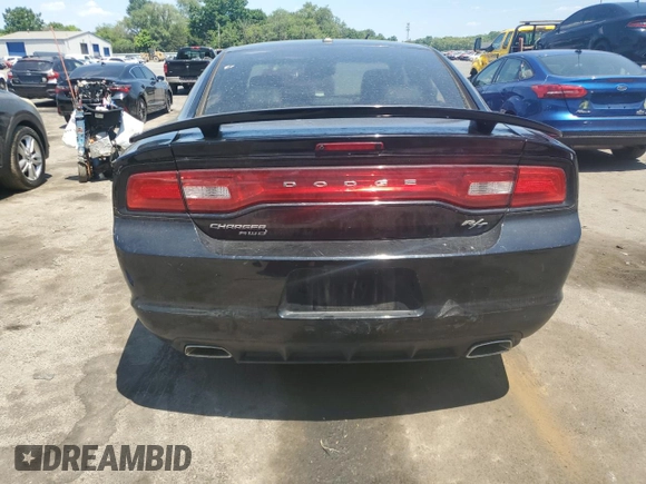 2013 Dodge Charger RT Plus with VIN 2C3CDXDTXDH503345, listed as a Copart auction lot 60231554 with 114,931 mi miles and Salvage Title. Bid and sale history available at carsss.com. Image 6.