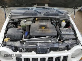 2005 Jeep Liberty Sport with VIN 1J4GL48505W583083, listed as a Copart auction lot 49700615 with 198,325 mi miles and Salvage Title. Bid and sale history available at carsss.com. Image 13.