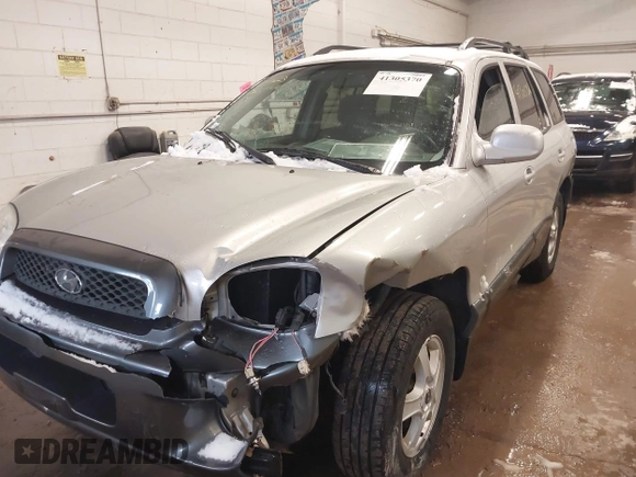 2003 Hyundai Santa Fe GLS with VIN KM8SC73D83U428723, listed as a IAAI auction lot 41305370 with 244,579 mi miles. Bid and sale history available at carsss.com. Image 6.