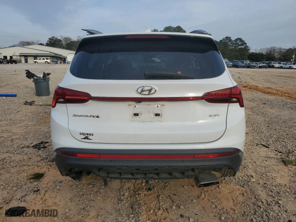 2021 Hyundai Santa Fe Limited with VIN 5NMS44AL7MH316966, listed as a Copart auction lot 45665785 with 60,176 mi miles and Salvage Title. Bid and sale history available at carsss.com. Image 6.