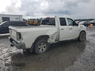 2009 Dodge 1500 SLT with VIN 1D3HB18T49S782300, listed as a Copart auction lot 58946225 with 188,783 mi miles and Salvage title. Bid and sale history available at DreamBid. Image 3.