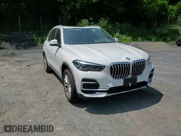 2023 BMW X5 xDrive40i with VIN 5UXCR6C03P9P75351, listed as a Copart auction lot 61465655 with 24,883 mi miles and Salvage title. Bid and sale history available at DreamBid. Image 14.