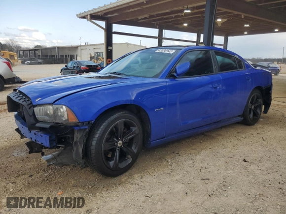 2013 Dodge Charger RT with VIN 2C3CDXCT2DH677668, listed as a Copart auction lot 48690945 with 177,519 mi miles and Salvage Title. Bid and sale history available at carsss.com. Image 1.