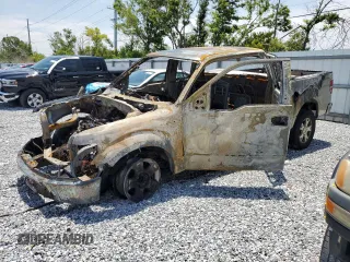 2009 Ford F-150 STX with VIN 1FTRX12WX9FB01745, listed as a Copart auction lot 59108325 with Not provided miles and Non repairable. Bid and sale history available at DreamBid. Image 1.