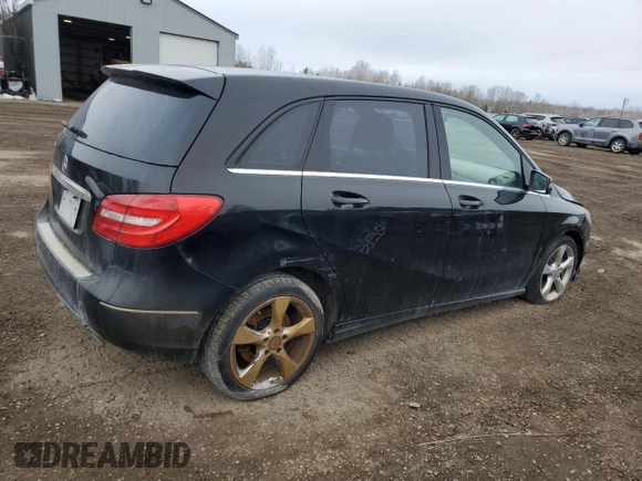 2014 Mercedes-Benz B 250 Sports Tourer with VIN WDDMH4EB9EJ187676, listed as a Copart auction lot 48683595 with Not Provided miles and Non Repairable. Bid and sale history available at DreamBid. Image 3.