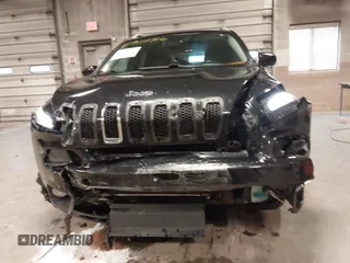 2014 Jeep Cherokee Limited with VIN 1C4PJMDS2EW202518, listed as a IAAI auction lot 41911156 with 119,533 mi miles. Bid and sale history available at carsss.com. Image 6.