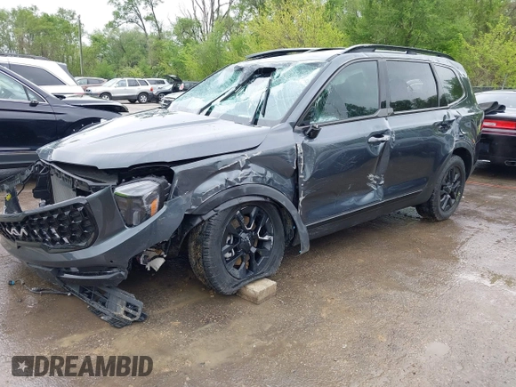 2024 Kia Telluride SX Prestige X-Line z VIN 5XYP5DGC9RG530255, wystawiony jako IAAI lot #42126741 z przebiegiem 8 595 mil mil oraz . Historia ofert i sprzedaży dostępna na DreamBid. Obrazek 2.