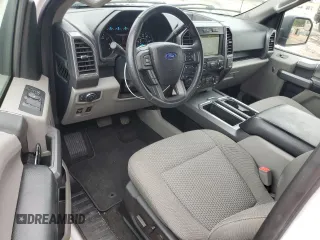 2019 Ford F-150 XL with VIN 1FTEW1E57KFB58804, listed as a Copart auction lot 51856495 with 97,597 mi miles and Clean Title. Bid and sale history available at carsss.com. Image 8.
