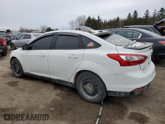 2014 Ford Focus SE with VIN 1FADP3F20EL290713, listed as a Copart auction lot 51967065 with 234,770 mi miles and Salvage Title. Bid and sale history available at carsss.com. Image 2.