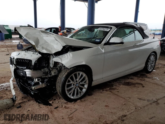 2016 BMW 2 Series 228i with VIN WBA1K9C54GV710166, listed as a Copart auction lot 48294275 with 0 mi miles and Salvage Title. Bid and sale history available at carsss.com. Image 1.