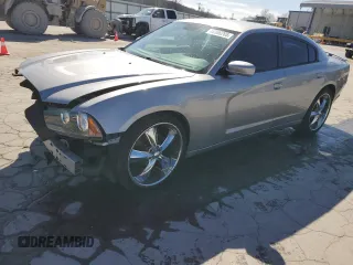 2013 Dodge Charger SXT with VIN 2C3CDXHG5DH640738, listed as a Copart auction lot 48306265 with 188,669 mi miles and Salvage Title. Bid and sale history available at carsss.com. Image 1.