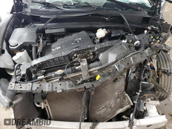 2019 Infiniti QX60 Pure with VIN 5N1DL0MM1KC523479, listed as a Copart auction lot 59895065 with 81,731 mi miles and Salvage title. Bid and sale history available at DreamBid. Image 12.