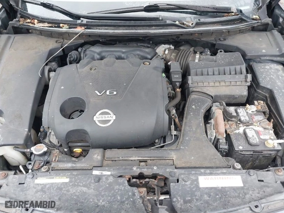 2009 Nissan Maxima 3.5 SV w/Sport Pkg with VIN 1N4AA51E19C818847, listed as a IAAI auction lot 41866300 with 172,446 mi miles. Bid and sale history available at carsss.com. Image 10.
