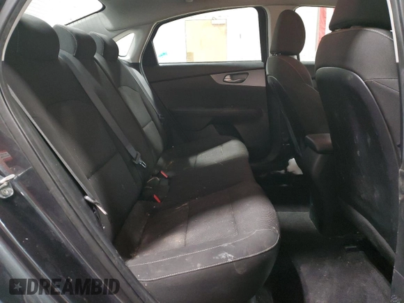 2019 Kia Forte LXS with VIN 3KPF24ADXKE136692, listed as a Copart auction lot 44589515 with 117,299 mi miles and Salvage Title. Bid and sale history available at DreamBid. Image 10.