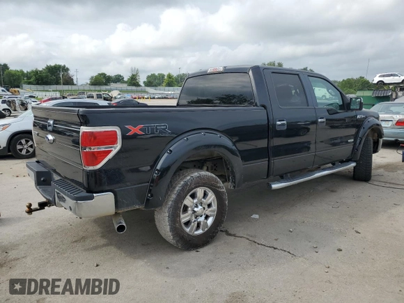 2013 Ford F-150 XL with VIN 1FTFW1ET6DKD97984, listed as a Copart auction lot 61098225 with 219,002 mi miles and Clean title. Bid and sale history available at DreamBid. Image 3.