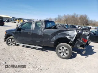2013 Ford F-150 XL with VIN 1FTFX1CF7DFC08942, listed as a Copart auction lot 49987185 with 113,674 mi miles and Salvage Title. Bid and sale history available at carsss.com. Image 2.