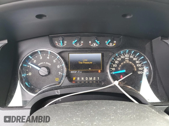 2013 Ford F-150 XL with VIN 1FTEX1CM6DFE06616, listed as a Copart auction lot 85046474 with 60,031 mi miles and Salvage Title. Bid and sale history available at carsss.com. Image 9.