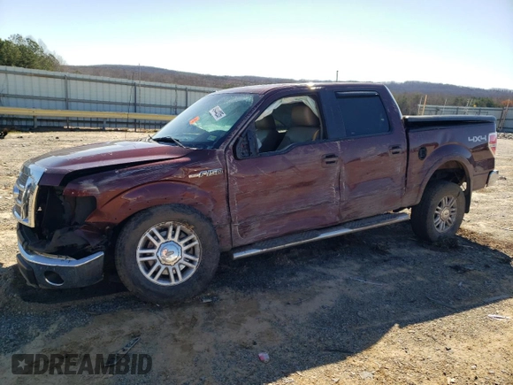 2010 Ford F-150 XL with VIN 1FTFW1EV2AFD23516, listed as a Copart auction lot 49444205 with 179,959 mi miles and Salvage Title. Bid and sale history available at carsss.com. Image 1.